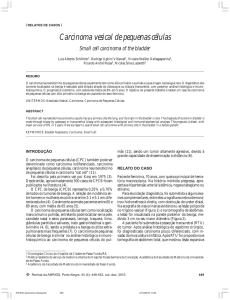 016-530_Carcinoma vesical.pmd