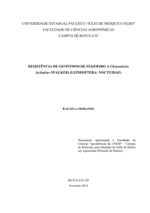 RESISTÊNCIA DE GENÓTIPOS DE FEIJOEIRO A Chrysodeixis