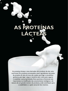 AS PROTEÍNAS LÁCTEAS AS PROTEÍNAS LÁCTEAS