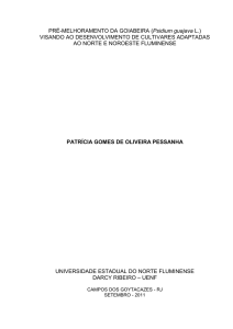 Pré-melhoramento em goiabeira (Psidium guajava L.)