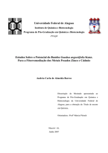 Universidade Federal de Alagoas Estudos Sobre o Potencial do