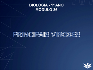 PRINCIPAIS VIROSES