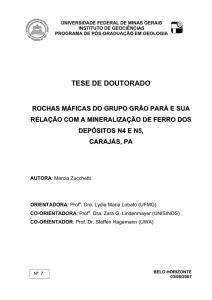 Tese_Doutorado_Marcia Zucchetti_2007