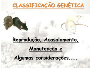 Classificacao Genetica