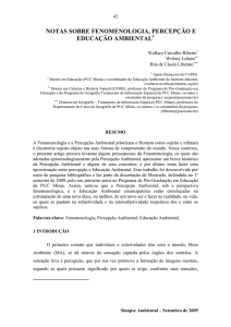 notas sobre fenomenologia, percepção e educação