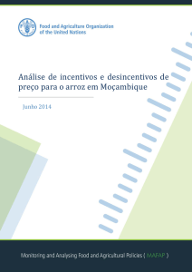 Análise de incentivos e desincentivos de preço para o arroz em