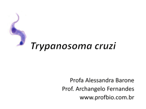 Clique aqui para fazer o da aula de Trypanosoma cruzi