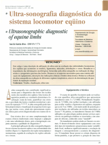 Ultra-sonografia diagnóstica do sistema locomotor eqüino
