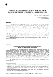 identificação de padrões de vegetação ciliar em