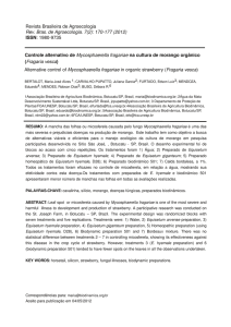 Controle alternativo de Mycosphaerella fragariae na cultura de