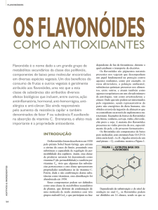 os flavonóides