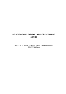 relatorio complementar - área de fazenda rio grande aspectos