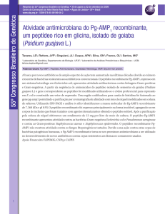 Atividade antimicrobiana do Pg-AMP recombinante, um peptídeo