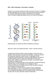 DNA – RNA: Duplicação, Transcrição e Tradução Pense em uma