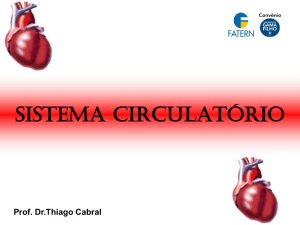 Sistema Circulatório