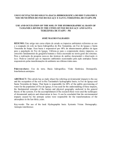 uso e ocupação do solo na bacia hidrográfica do rio tamanduá nos