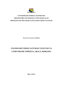 Uso dos recursos naturais de origem vegetal na Terra Indígena