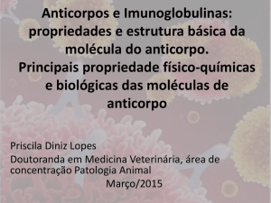 Anticorpos e Imunoglobulinas: propriedades e estrutura básica da