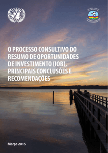 O PROCESSO CONSULTIVO DO RESUMO DE OPORTUNIDADES