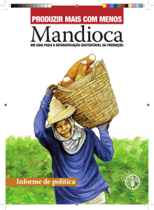 Produzir mais com menos: Mandioca. Informe de política