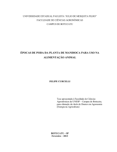 ÉPOCAS DE PODA DA PLANTA DE MANDIOCA PARA USO NA