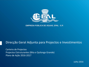 Direcção Geral Adjunta para Projectos e Investimentos