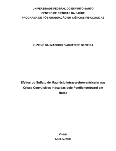 Efeitos do Sulfato de Magnésio Intracerebroventricular nas Crises