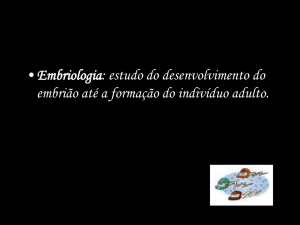 Slides – Embriologia
