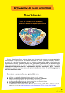 Painel interativo Organização da célula eucariótica - Genoma