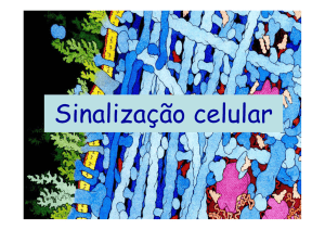 Sinalização celular