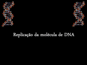 replicacao da molecula de DNA
