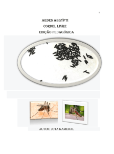 AEDES AEGYPTI CORDEL LIVRE EDIÇÃO PEDAGÓGICA