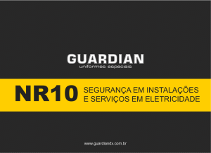 NR10 - A Guardian DX