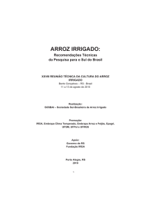 arroz irrigado - IRGA - Governo do estado do Rio Grande do Sul