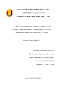 pdf - texto da dissertação completo