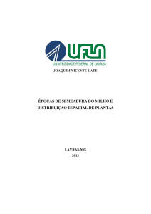 épocas de semeadura do milho e distribuição espacial de