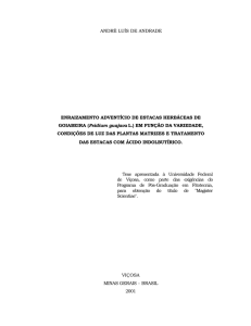 ANDRÉ LUÍS DE ANDRADE ENRAIZAMENTO ADVENTÍCIO DE