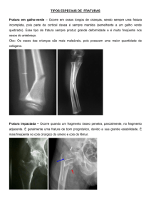 APOSTILA TRAUMATOLOGIA GERAL 2014 IBMR