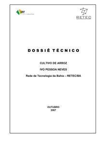 Arquivo - Serviço Brasileiro de Respostas Técnicas