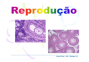 Isabel Dias | CEI | Biologia 12