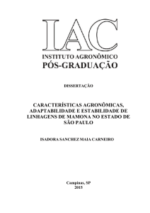 características agronômicas, adaptabilidade e estabilidade de