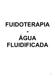 Água Fluidificada