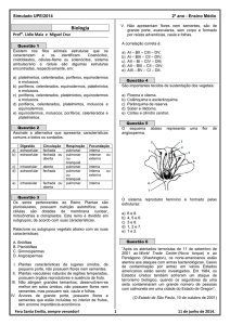 ssa - 2º ano - 2º dia - Colégio Santa Emilia