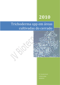 Trichoderma spp em áreas cultivadas do cerrado