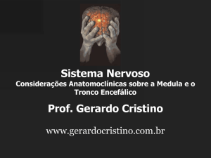 Sistema Nervoso Considerações Anatomoclínicas sobre a Medula e