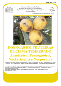 Fruteiras de Clima Temperado - Instituto Biológico