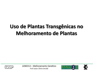 Uso de Plantas Transgênicas no Melhoramento de