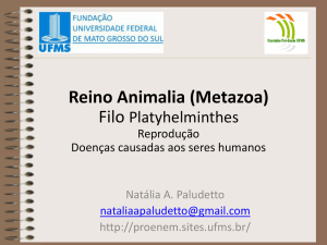 Reino Animalia (Metazoa)