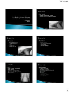 Radiologia do Tórax