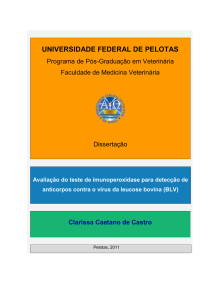 Clarissa Caetano de Castro - Universidade Federal de Pelotas